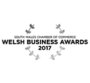 South Wales Chamber of Commerce Welsh Business Awards logo