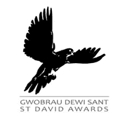 St David Awards logo