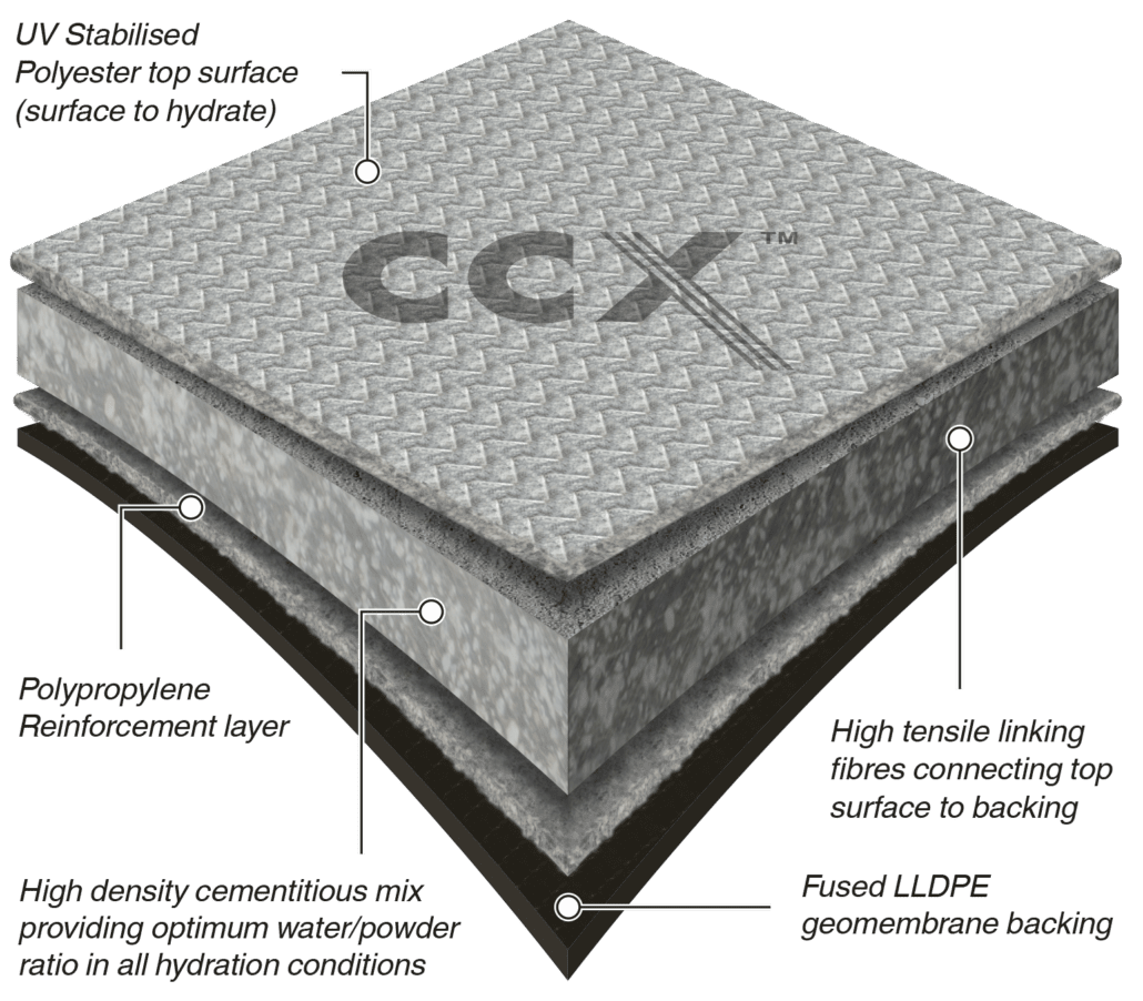 CCX Illustration