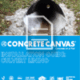 ccusa-culvert-lining