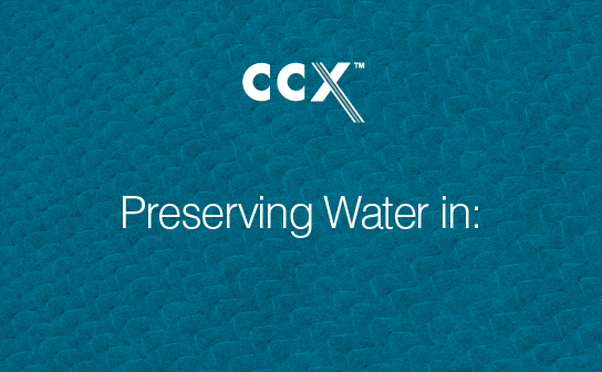 CCX Homepage