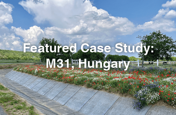 M31 Case Study